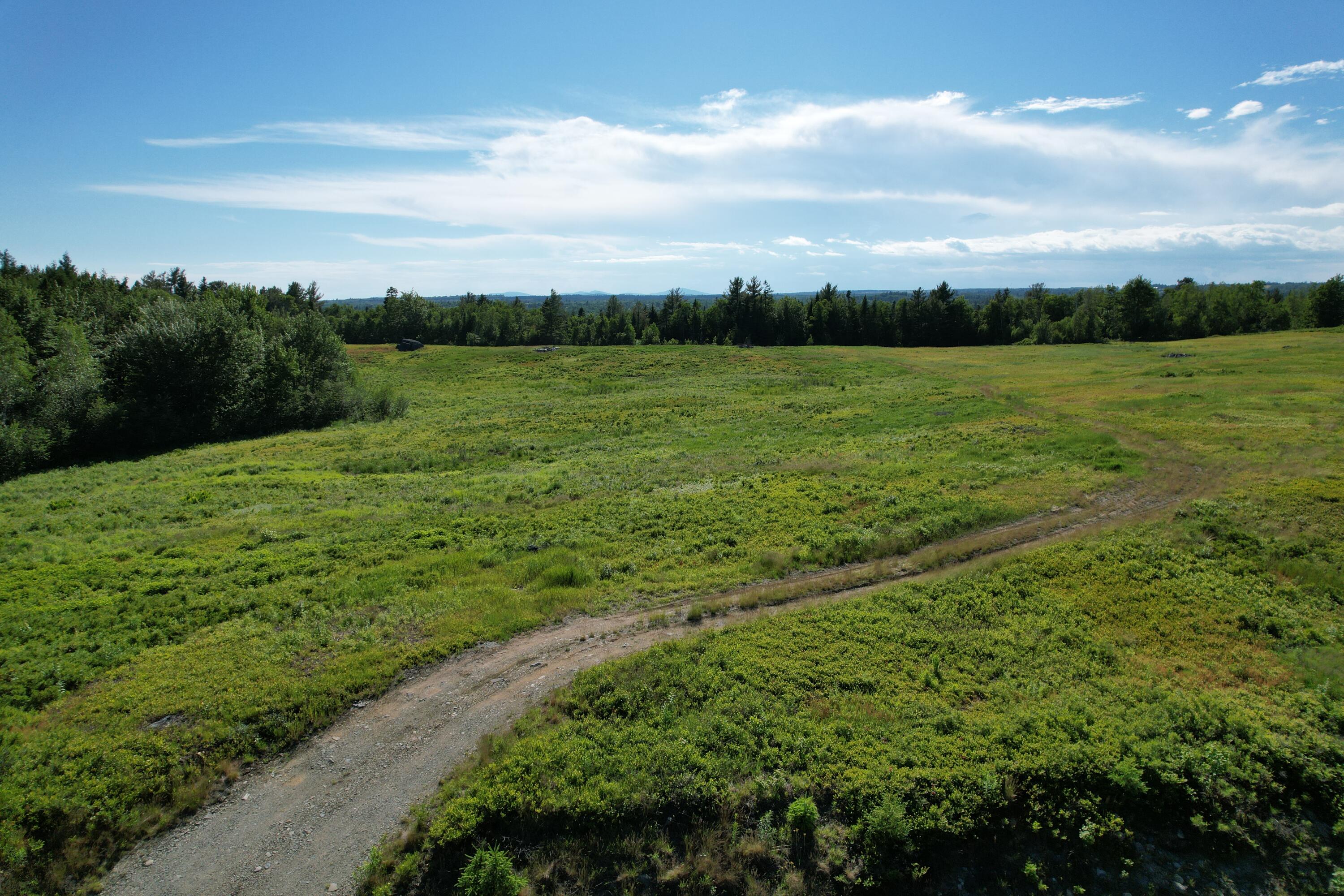 Lot # Epping Road Columbia Falls, ME 04623 - Photo 3 of 18 DJI_0298