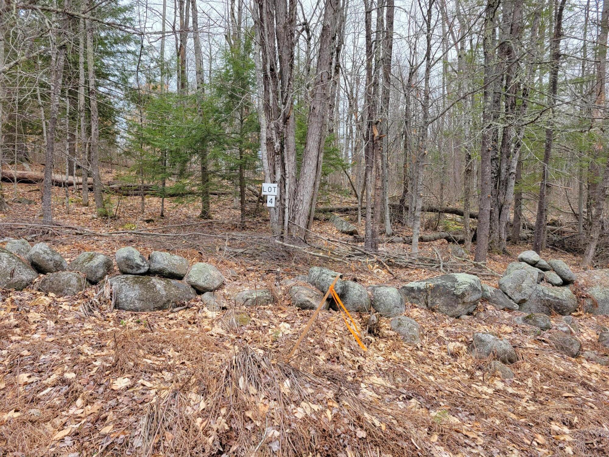582 West Fryeburg Road, Unit 4 Fryeburg, ME 04037 - Photo 3 of 3 20260422_154352