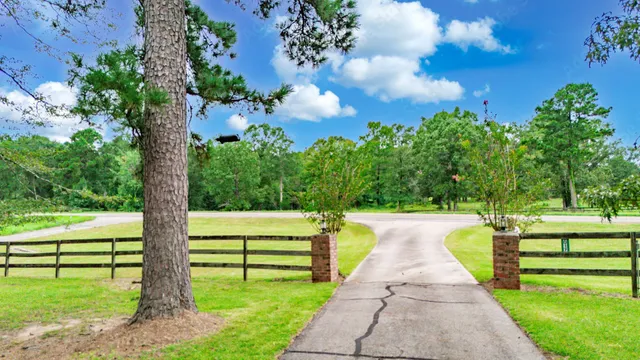 a view of yard with green space