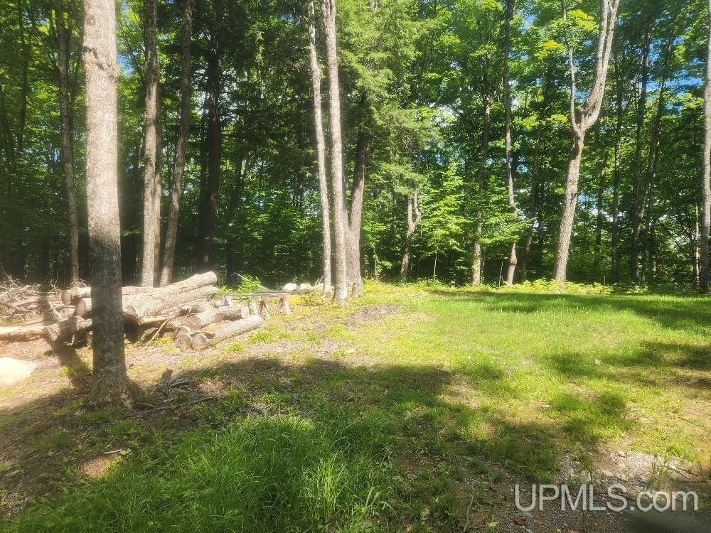 Tbd West Tamarack Lake Road, Unit LOT 5 Watersmeet, MI 49969 - Photo 17 of 66