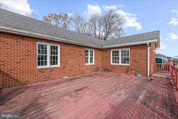 a park with large trees