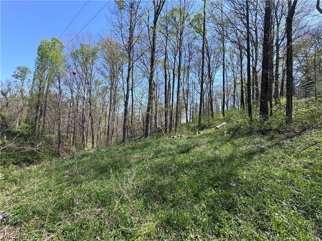 397 South Elliott Road Malta, OH 43758 - Photo 14 of 37