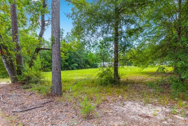 $19,900 | Unkel Camp Road, Kinder, LA 70648