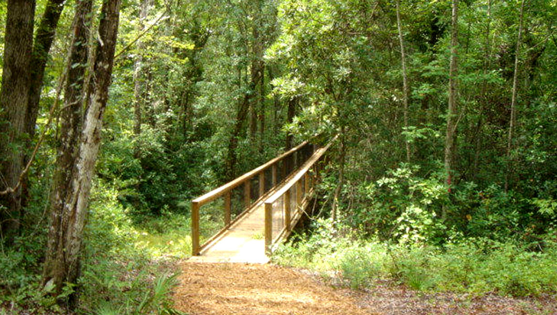318 Mango Lane Freeport, FL 32439 - Photo 42 of 58 Nature Trail