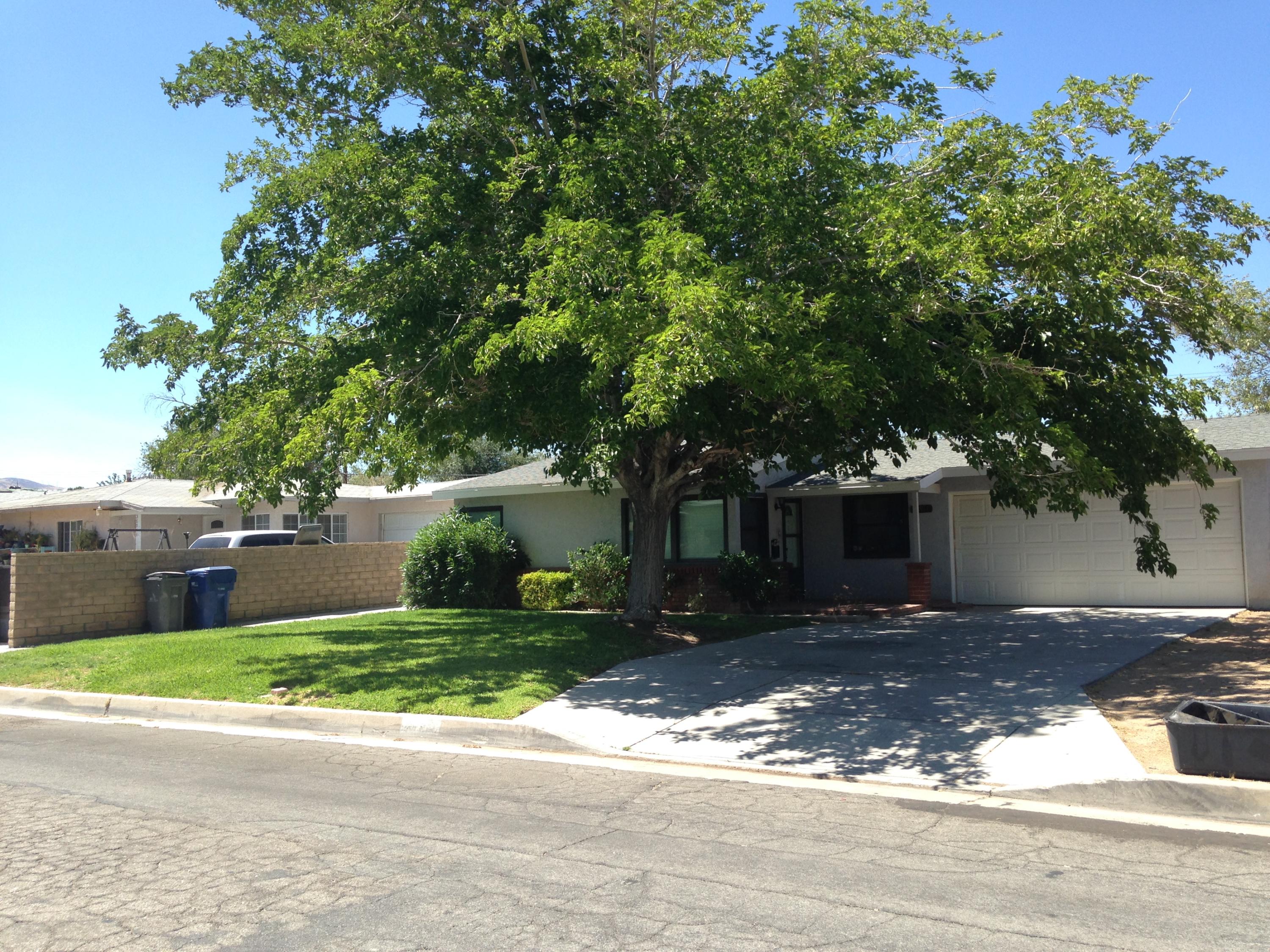 38917 Juniper Tree Road Palmdale, CA 93551 - Photo 1 of 11 Juniper Tree