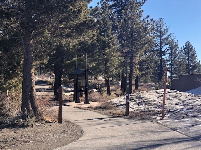 449 Sierra Manor Road, Unit 38 Mammoth Lakes, CA 93546 - Photo 3 of 3 Gallery Image 3