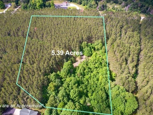 V/l V/l Windy Ridge Beulah, MI 49617 - Photo 5 of 20