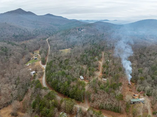 a view of a forest with trees in the background
