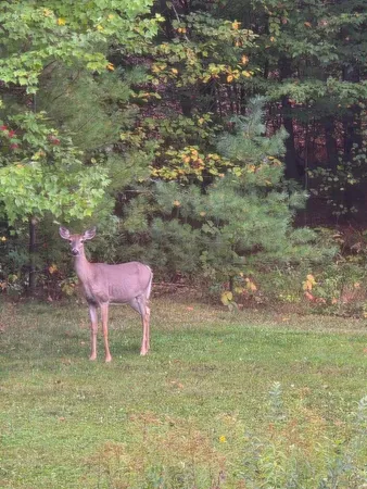 $690,000 | 218 South Reynolds Road, Winslow, ME 04901