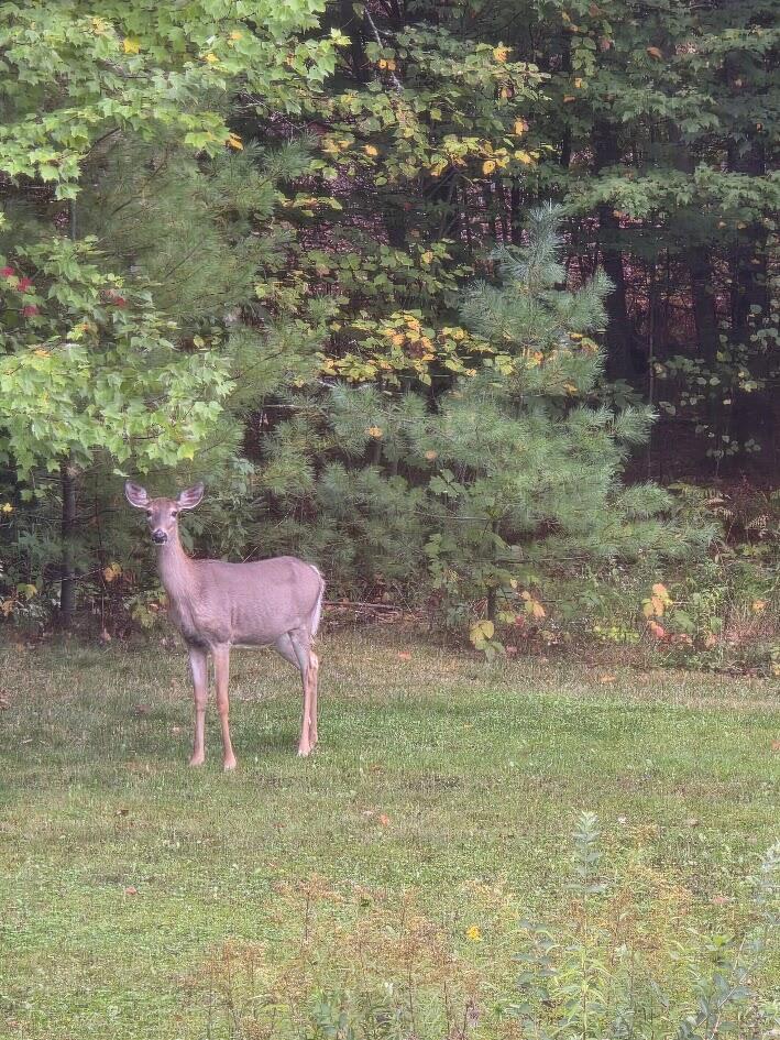 218 South Reynolds Road Winslow, ME 04901 - Photo 49 of 74 444444