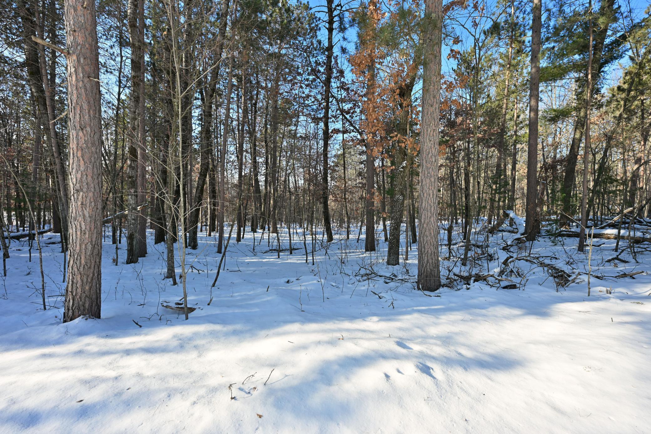Lot 7 Long Lake Road Danbury, WI 54830 - Photo 6 of 10