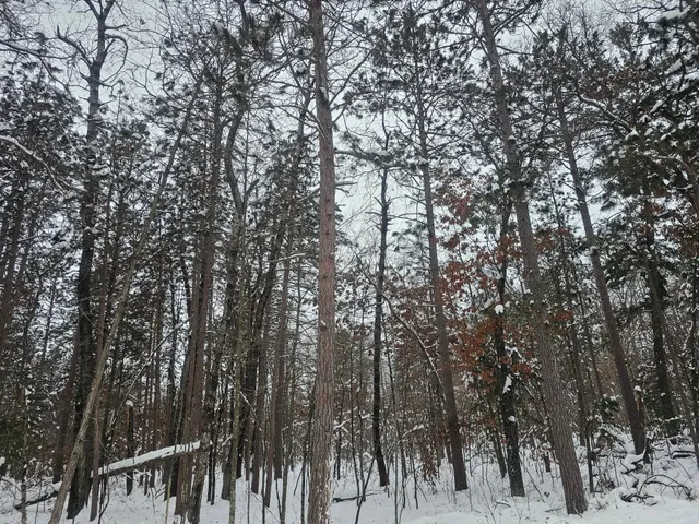 $24,500 | Lot 7 Long Lake Road, Danbury, WI 54830