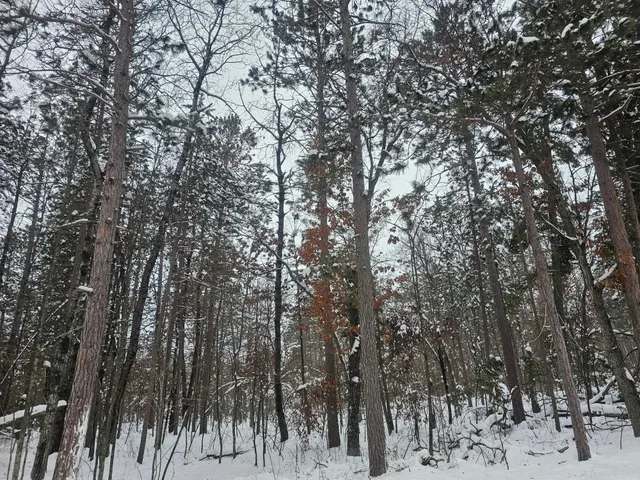 $24,500 | Lot 7 Long Lake Road, Danbury, WI 54830