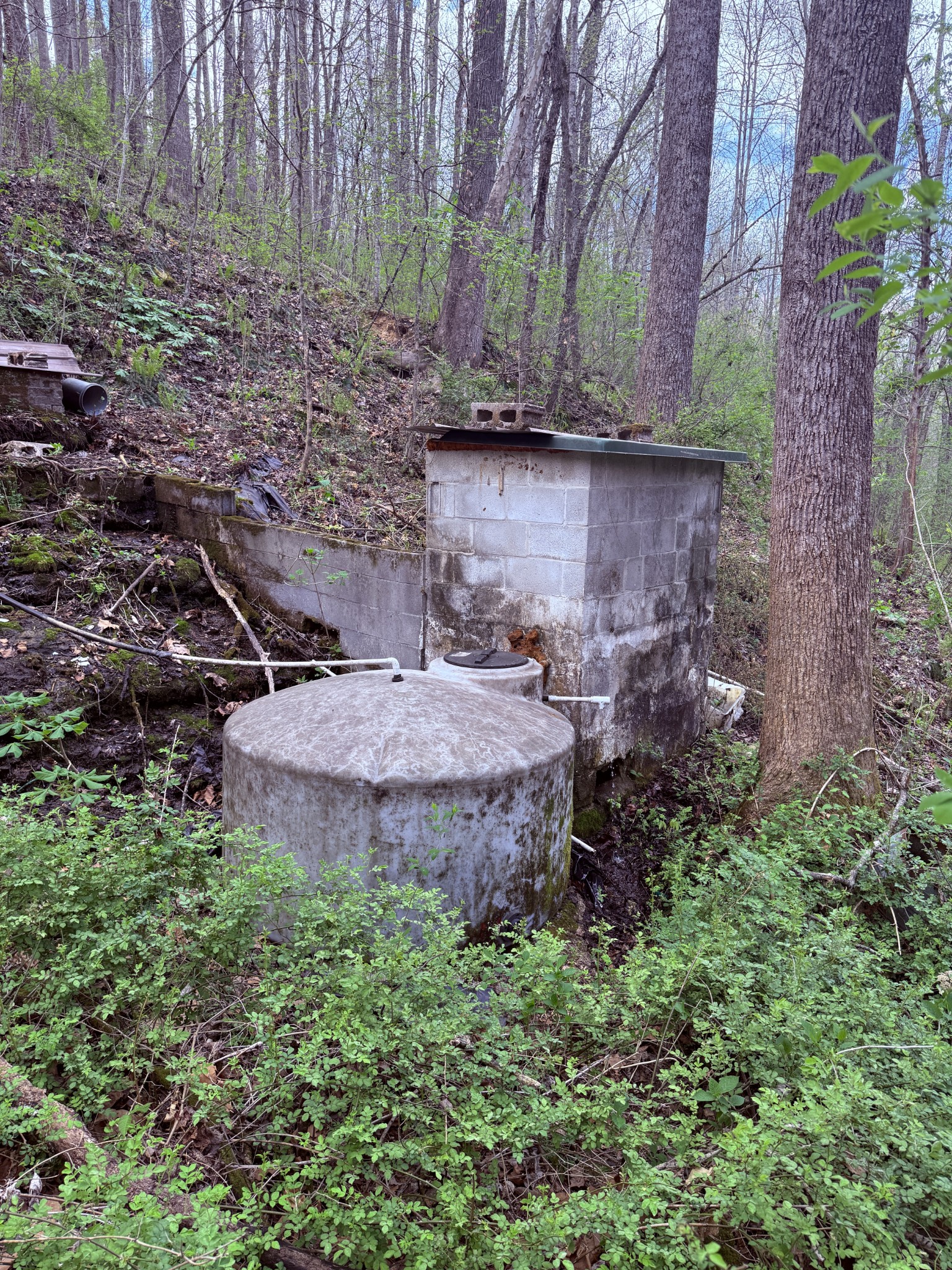 935 Sugar Tree Knob Road Liberty, TN 37095 - Photo 44 of 63 Gallery Image 44