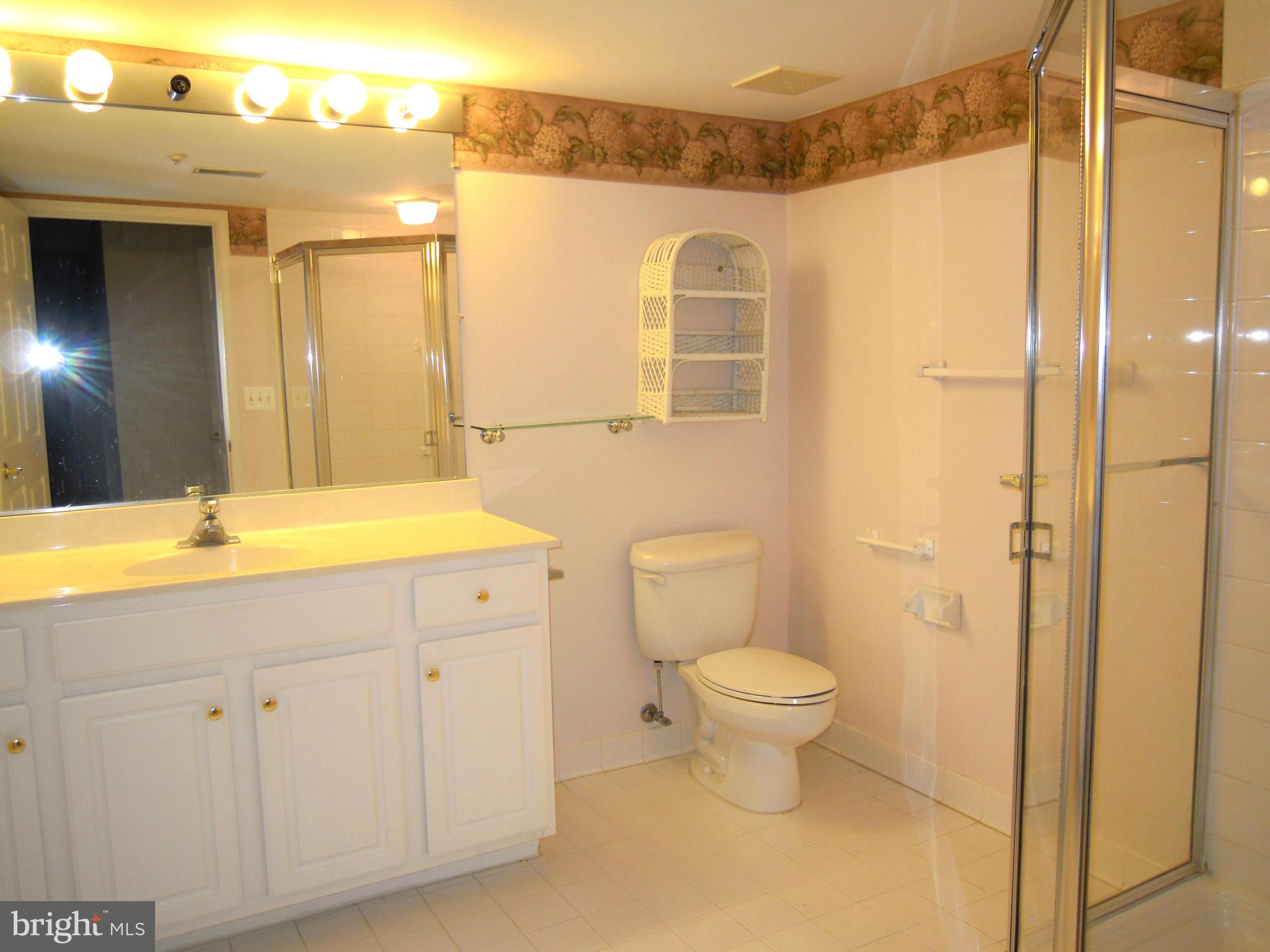 12300 Rosslare Ridge Road, Unit 208 Lutherville-Timonium, MD 21093 - Photo 15 of 17 Bath (Master)