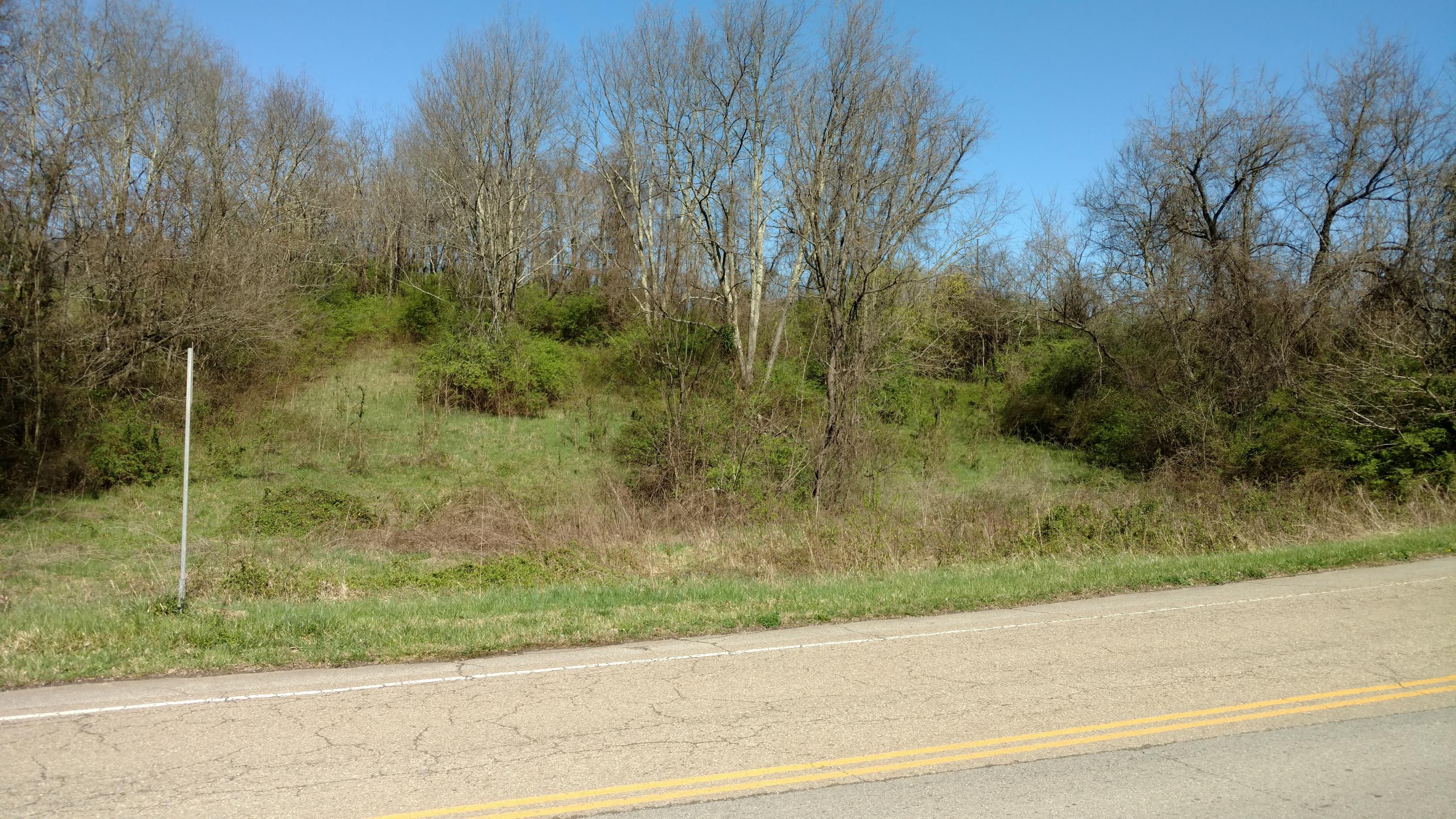 0 Sulphur Springs Road, Unit 1008 Morristown, TN 37813 - Photo 1 of 2 IMG_20210326_114705657_TOP