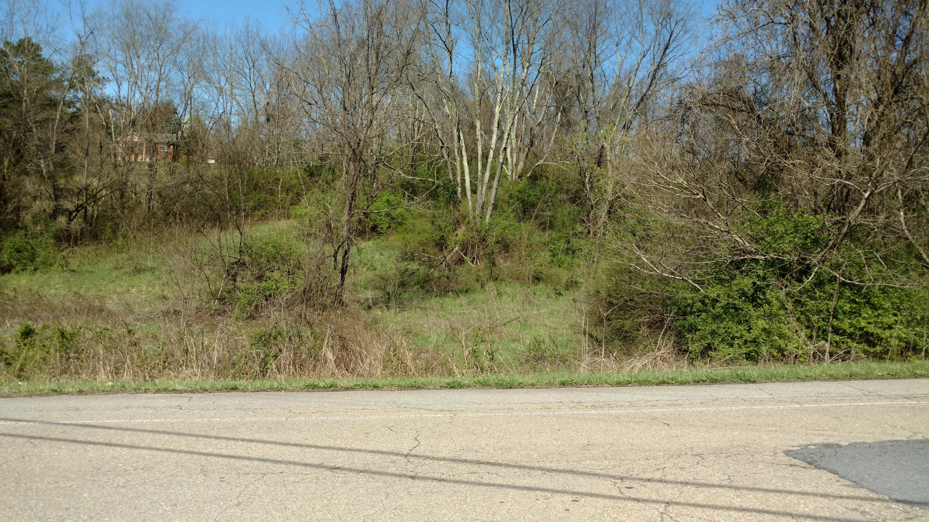 0 Sulphur Springs Road, Unit 1008 Morristown, TN 37813 - Photo 2 of 2 IMG_20210326_114737729