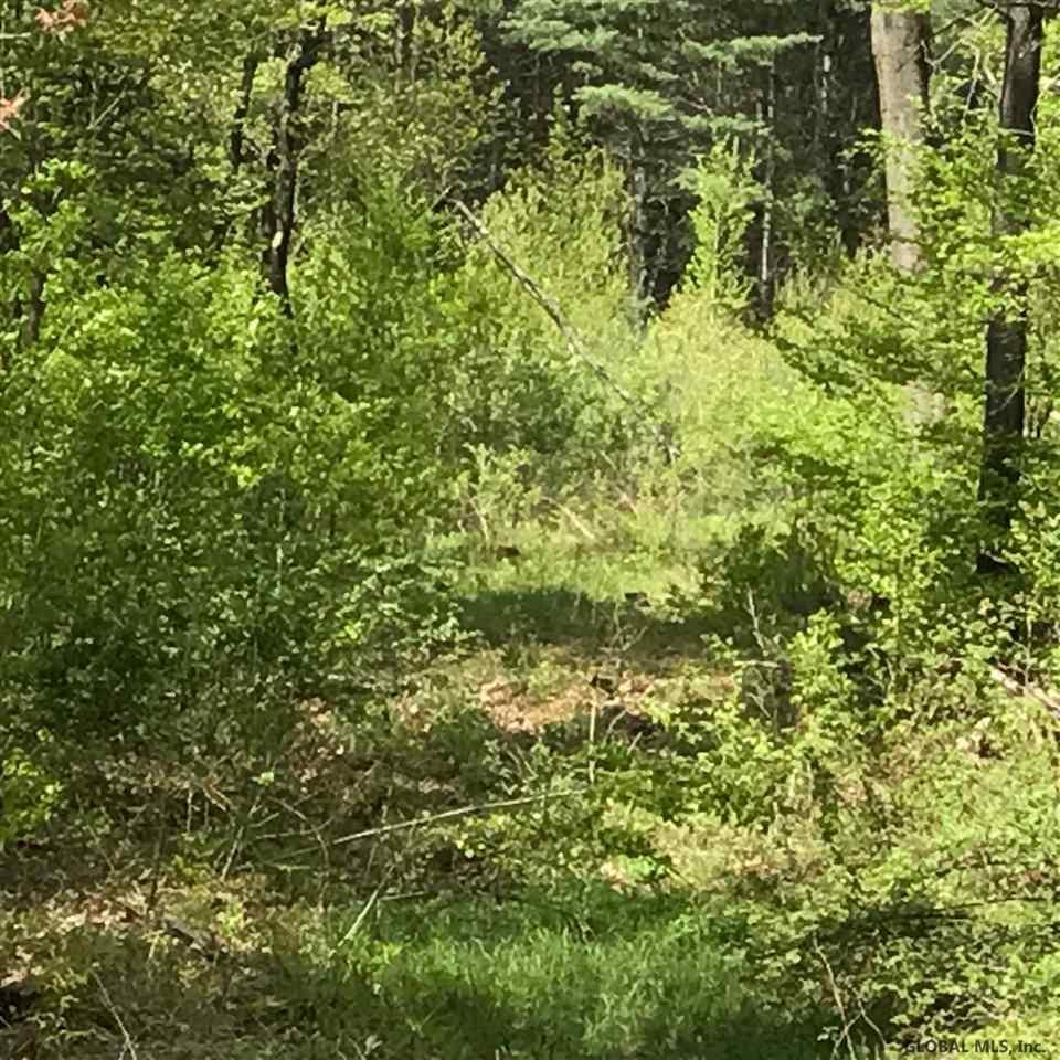 0 Lester Pine Road Buskirk, NY 12028 - Photo 3 of 3 Photo 3