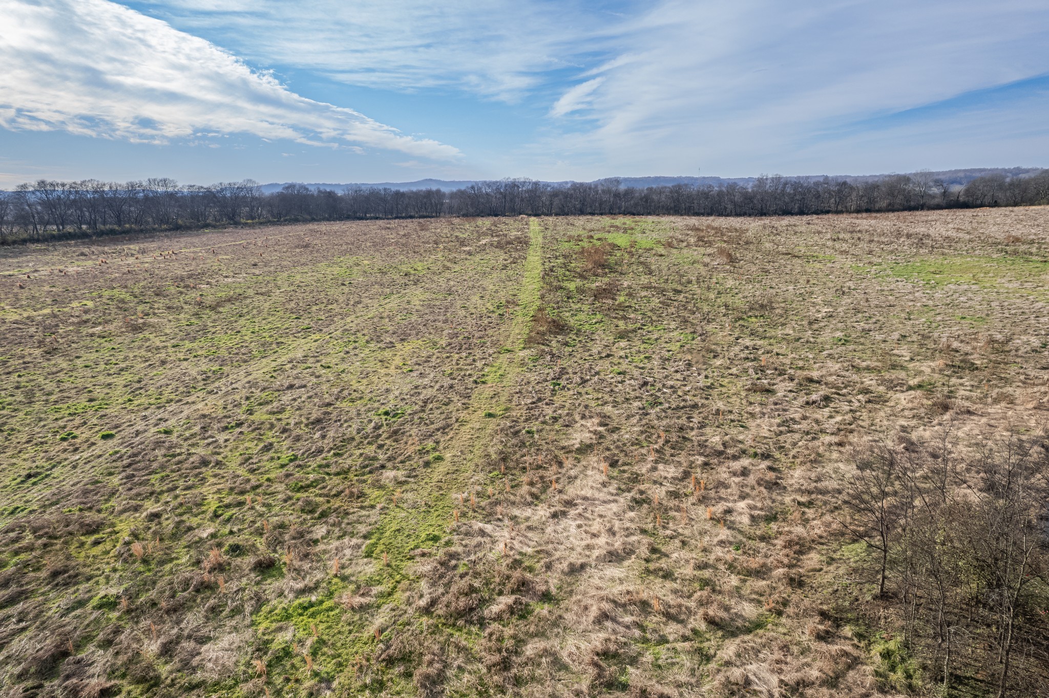 815 South Cross Bridges Road Mount Pleasant, TN 38474 - Photo 50 of 62