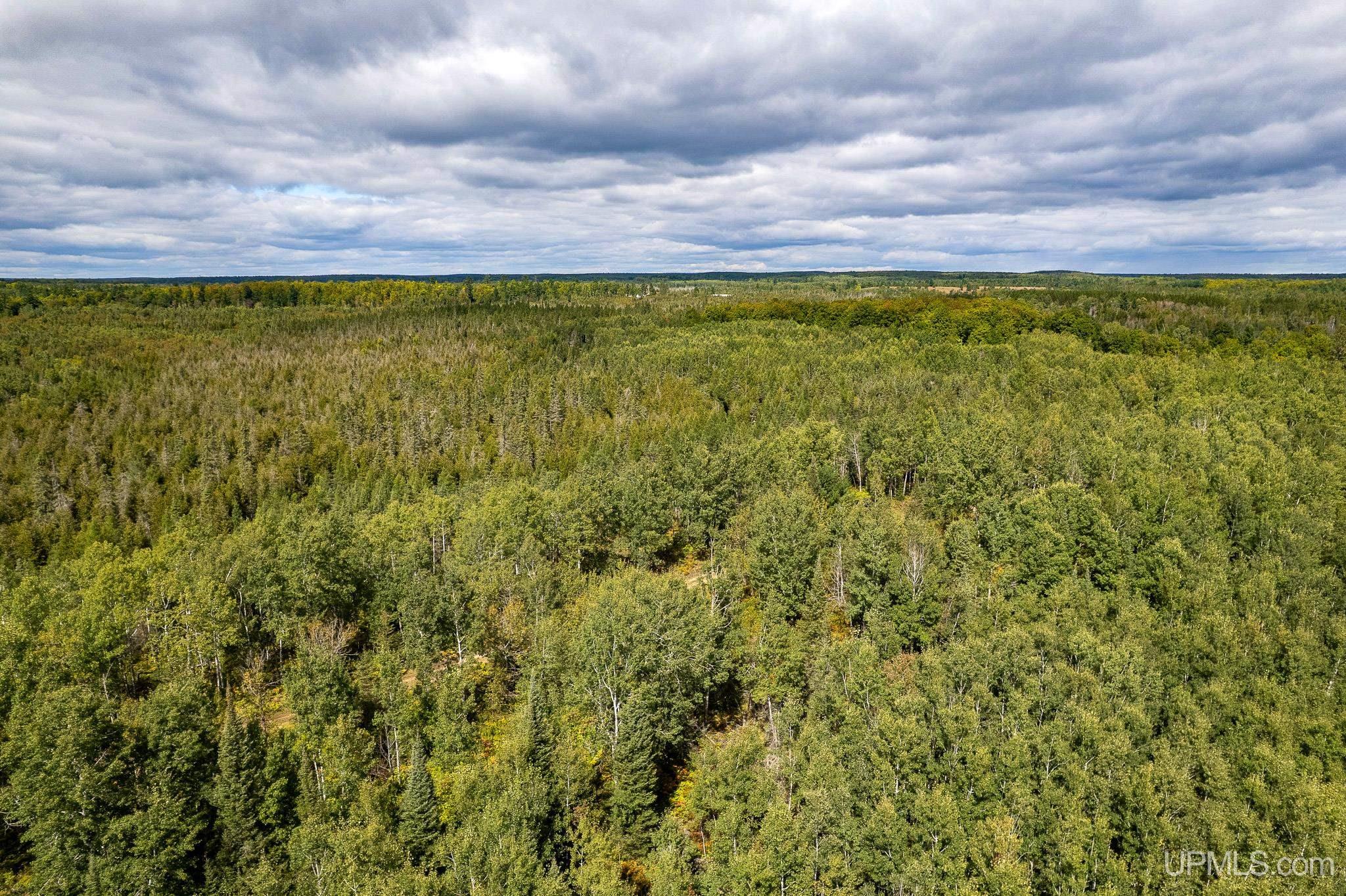 Tbd Off River Road North 40 Road Perronville, MI 49873 - Photo 10 of 12