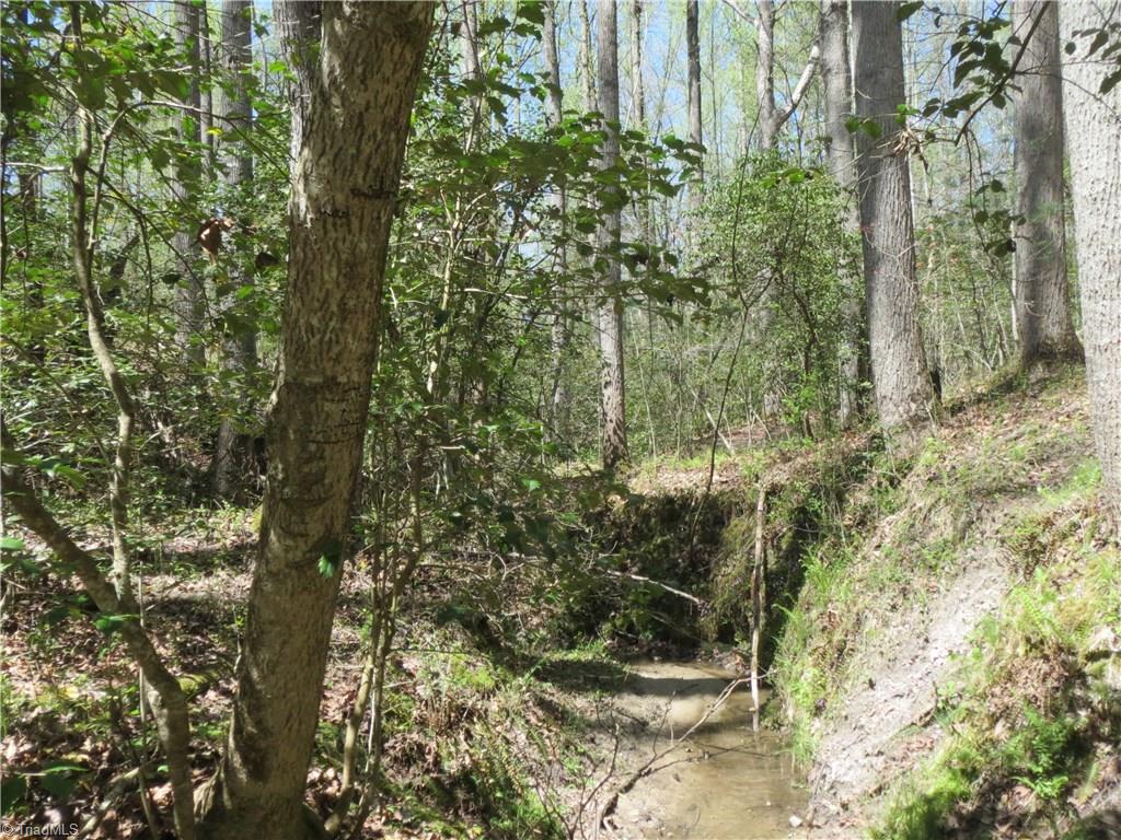 2212 Little Elkin Church Road Ronda, NC 28670 - Photo 29 of 30 Property features small stream.