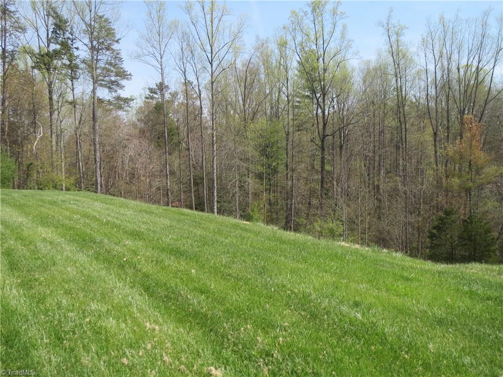 2212 Little Elkin Church Road Ronda, NC 28670 - Photo 9 of 30 View of back yard and surrounding woods.
