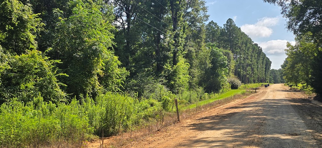 4739 Wallace Buie Road Columbia, AL 36319 - Photo 23 of 54