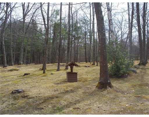 403 Bishop Hill Road Leeds, ME 04263 - Photo 12 of 13 Yard/Garden.