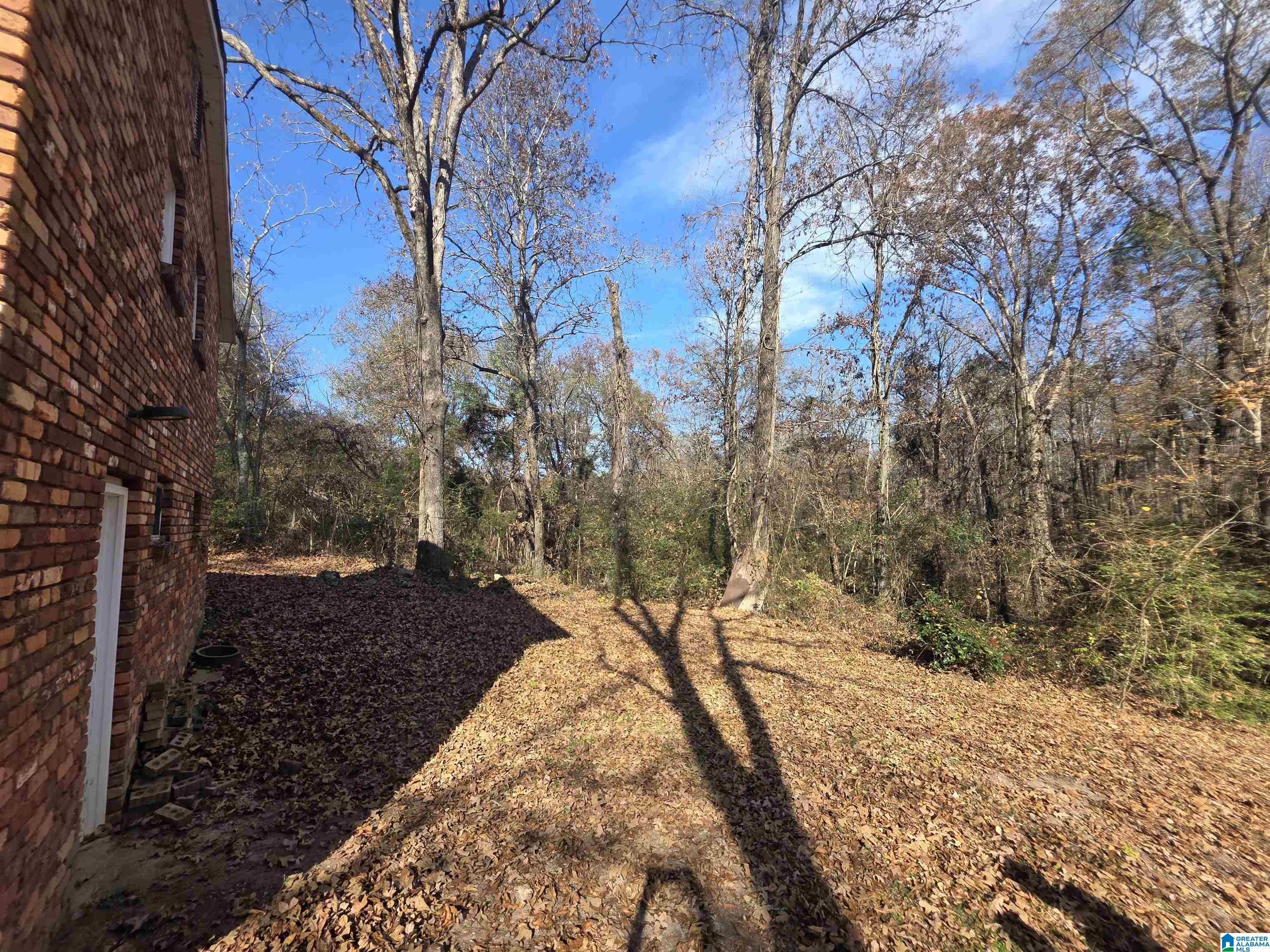 7042 Stemley Bridge Road Talladega, AL 35160 - Photo 18 of 19