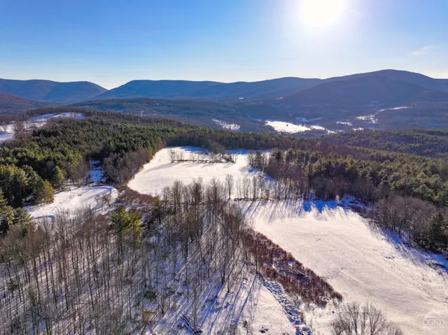 a view of a lush green hillside and a houses