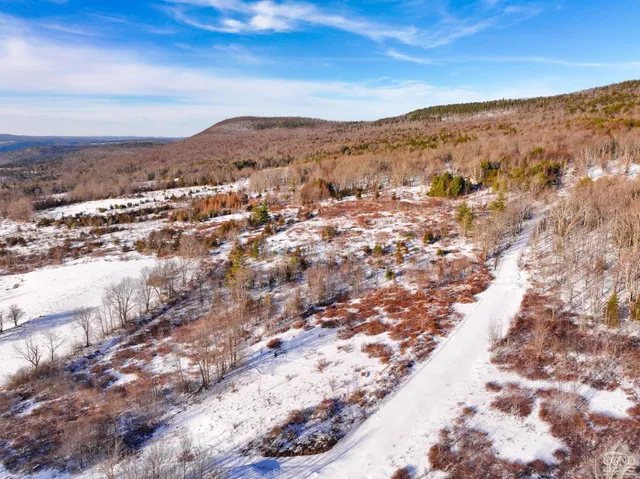 a view of a city with mountain