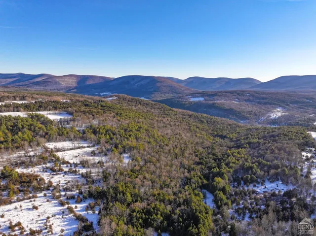 a view of a house with a mountain and a forest