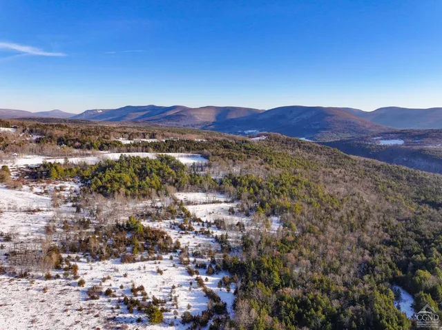 a view of a house with a mountain and a forest