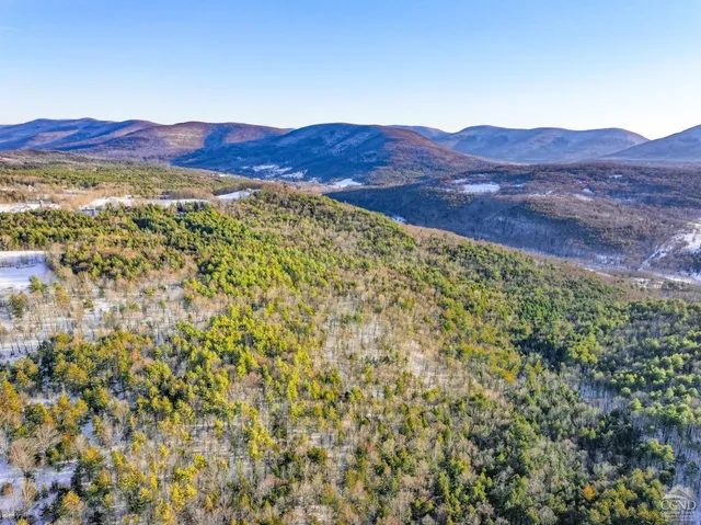 a view of city and mountain
