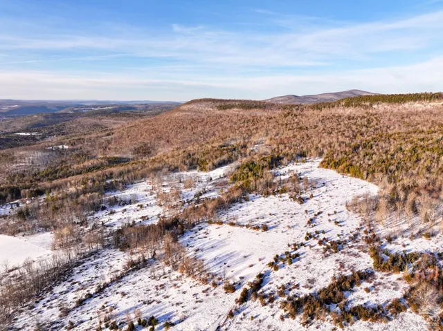 a view of a large tree in a field