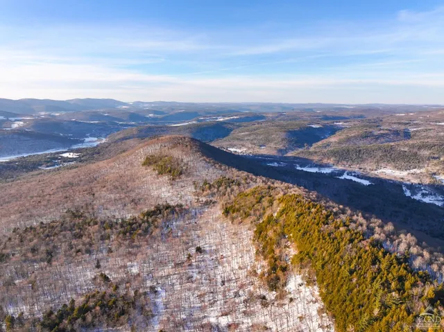 an aerial view of residential building and green space