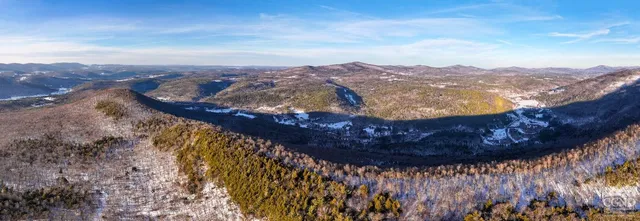 a view of a city with ocean view