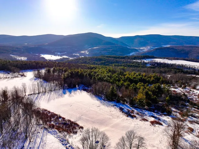 a view of city and mountain