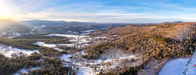 a view of city and mountain
