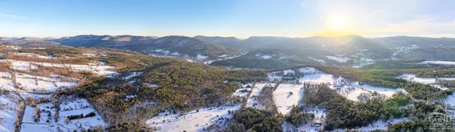 $8,000,000 | 6684 Rte 23C, Lexington, NY 12468