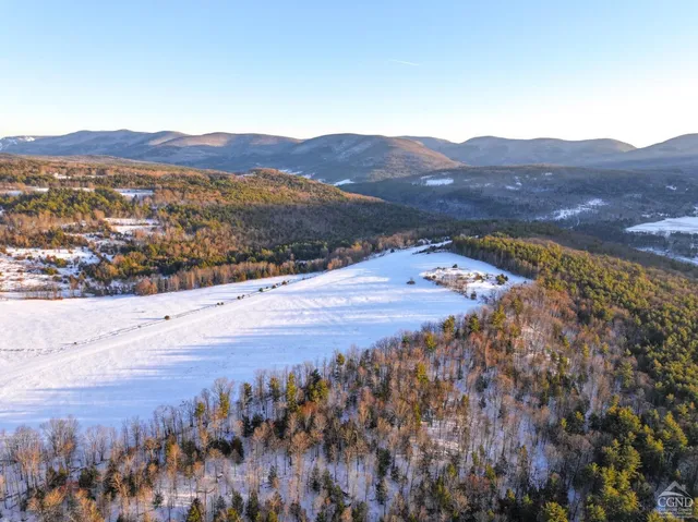 $8,000,000 | 6684 Rte 23C, Lexington, NY 12468