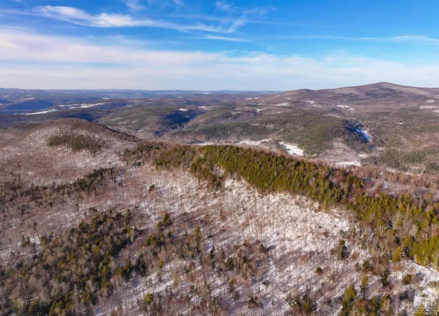 a view of city and mountain