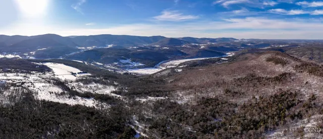 a view of a house with a mountain and a forest