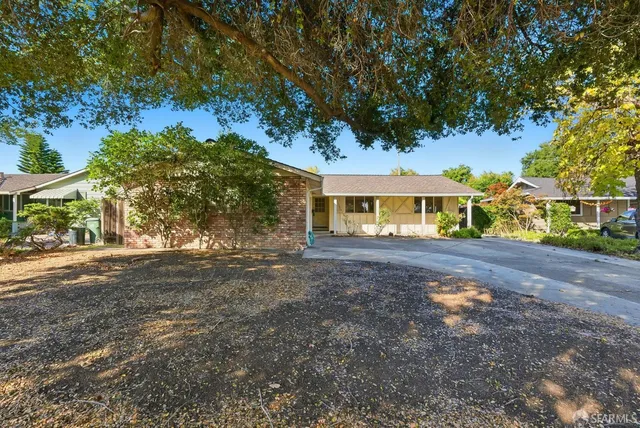 a view of road with large trees