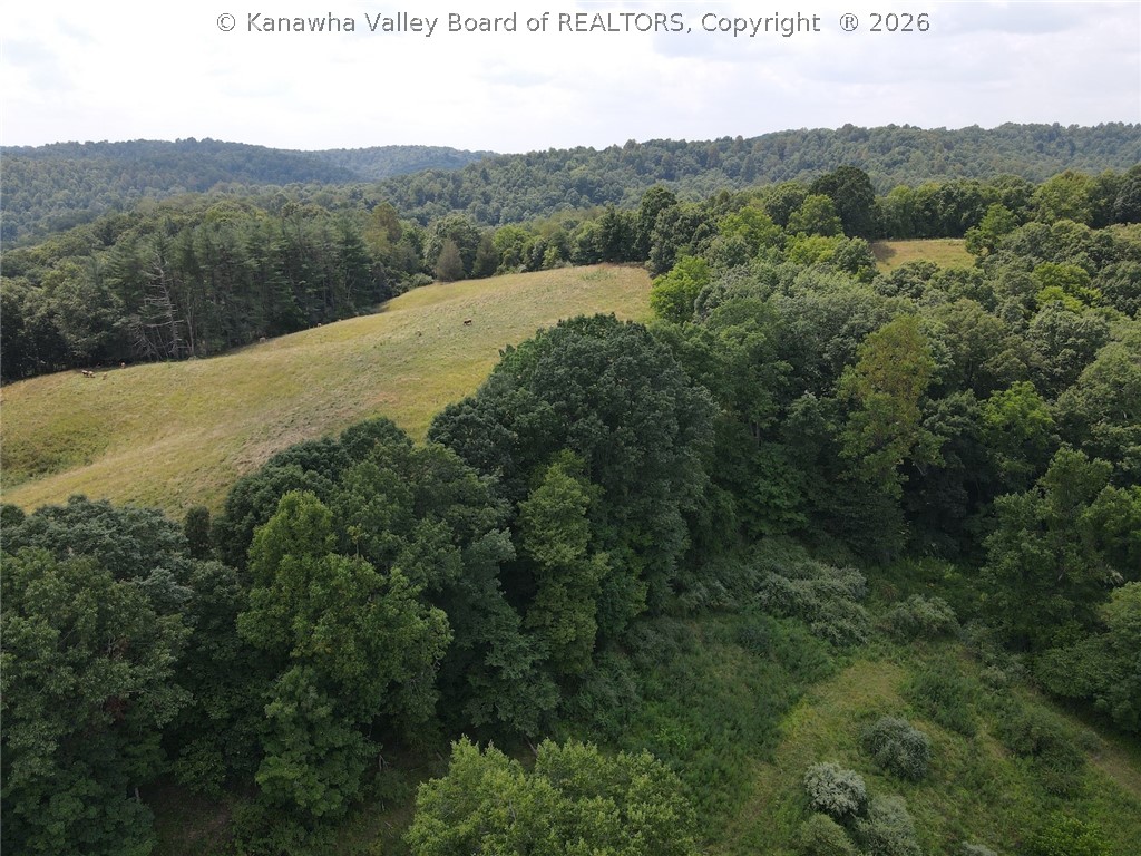 1162 Bear Run Reedy, WV 25270 - Photo 9 of 34 Gallery Image 9