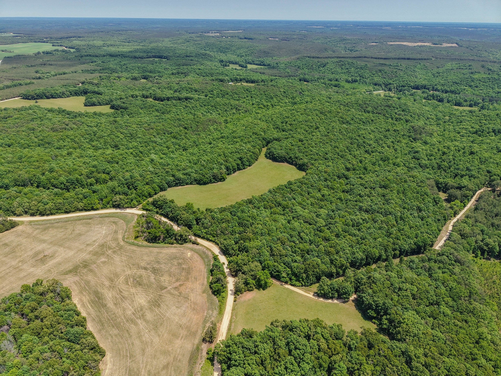 0 Johnson Road Lutts, TN 38471 - Photo 15 of 68 Gallery Image 15