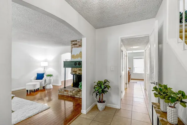 a living room with furniture and a potted plant