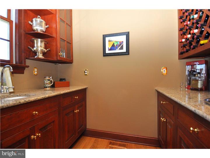 237 Biddulph Road Radnor, PA 19087 - Photo 7 of 25 Wet Bar