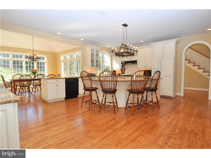 237 Biddulph Road Radnor, PA 19087 - Photo 9 of 25 Kitchen