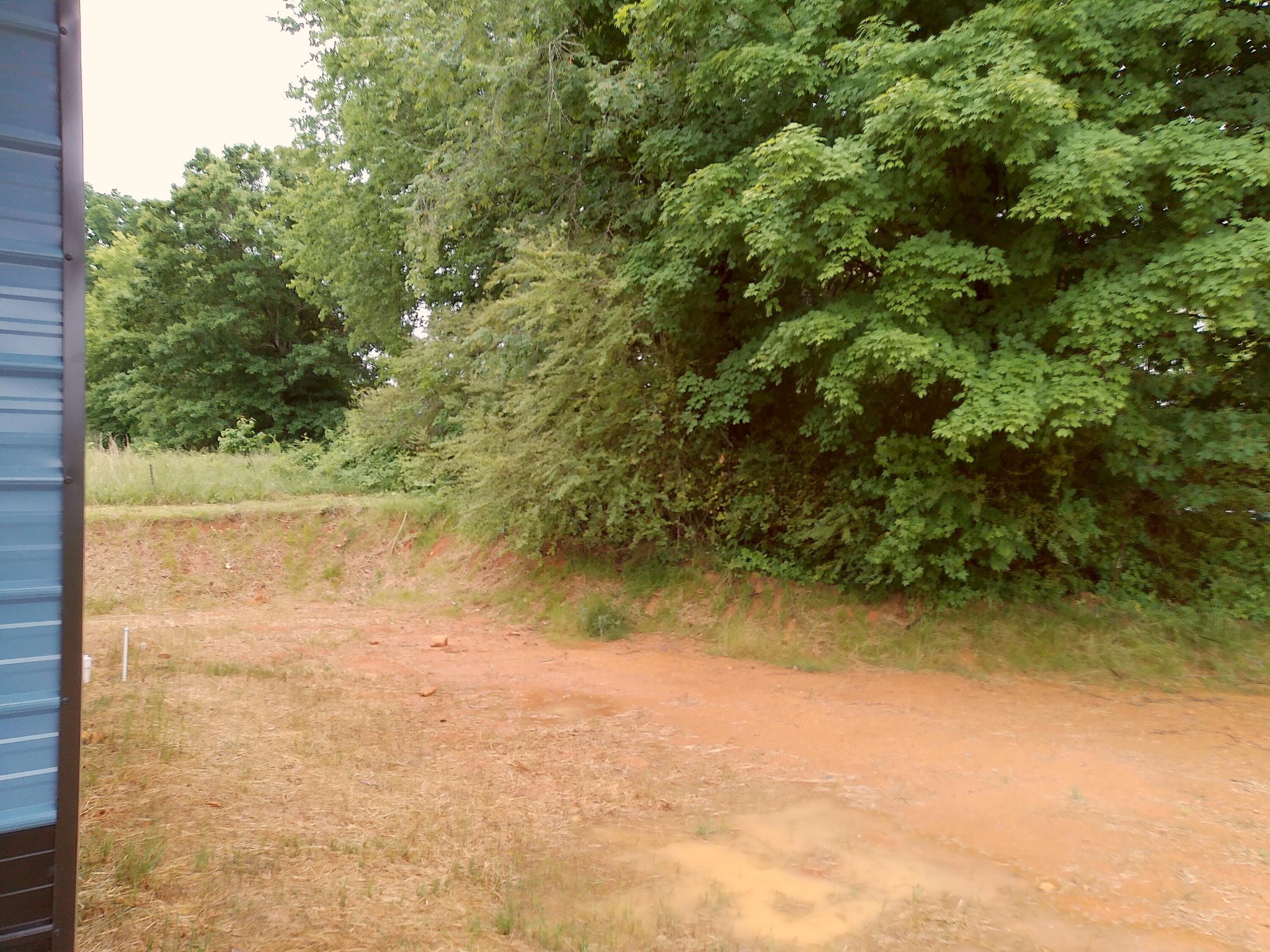 5668 Tennessee 58 Decatur, TN 37322 - Photo 20 of 24 a view of a yard with a tree